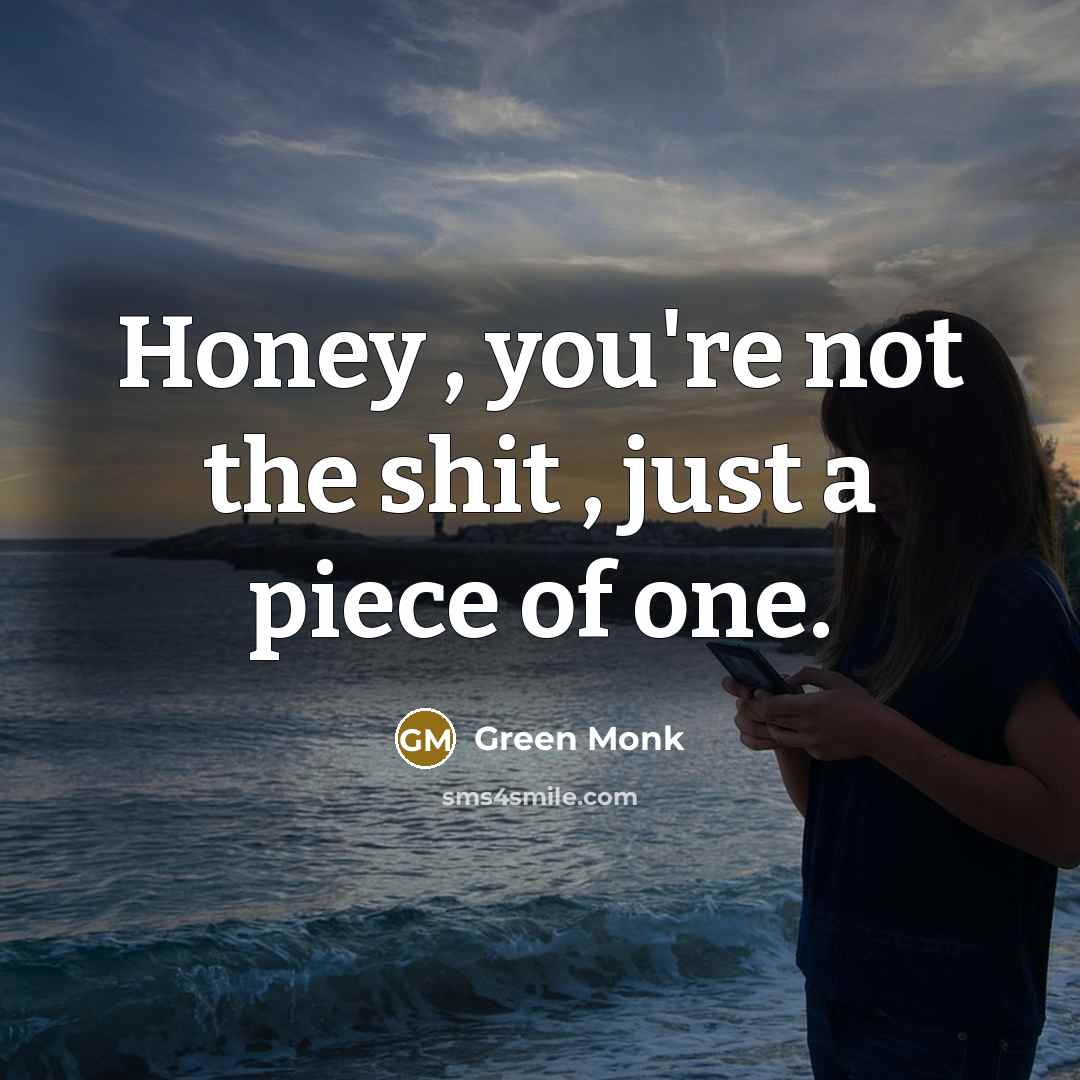 “Honey , you're not the shit , just a piece…” quote by Green Monk