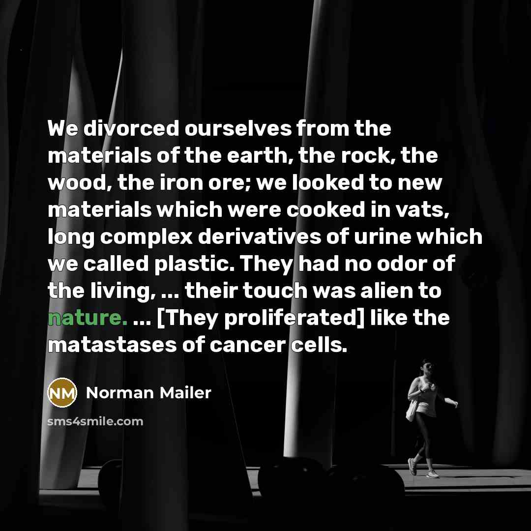 “We divorced ourselves from the materials of the earth, the…” quote by Norman Mailer
