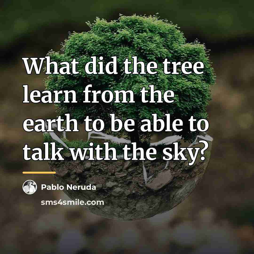 “What did the tree learn from the earth to be…” quote by Pablo Neruda
