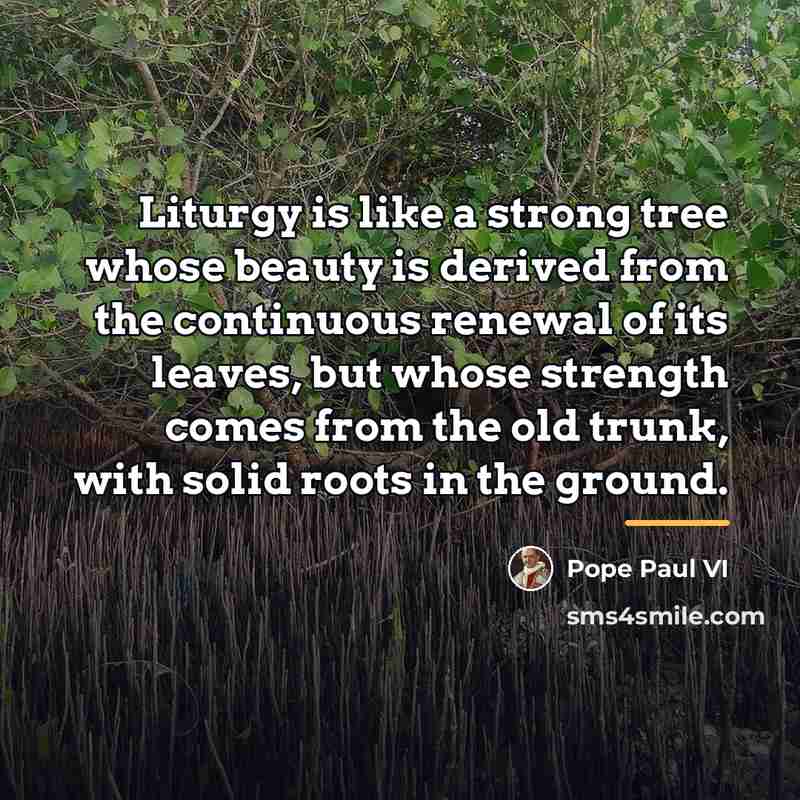 “Liturgy is like a strong tree whose beauty is derived…” quote by Pope Paul VI