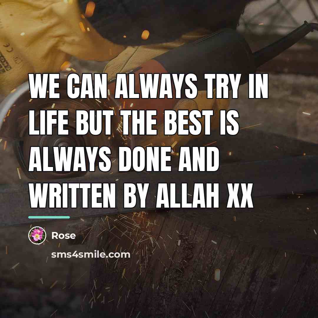 “We can always try in life but the best is…” quote by Rose