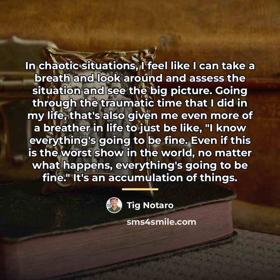 “In chaotic situations, I feel like I can take a…” quote by Tig Notaro