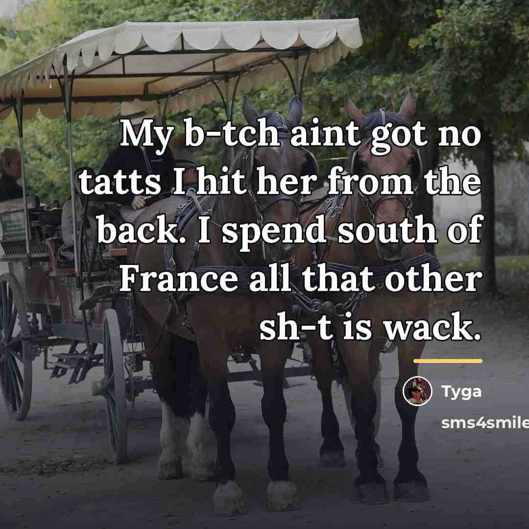 “My b-tch aint got no tatts I hit her from…” quote by Tyga