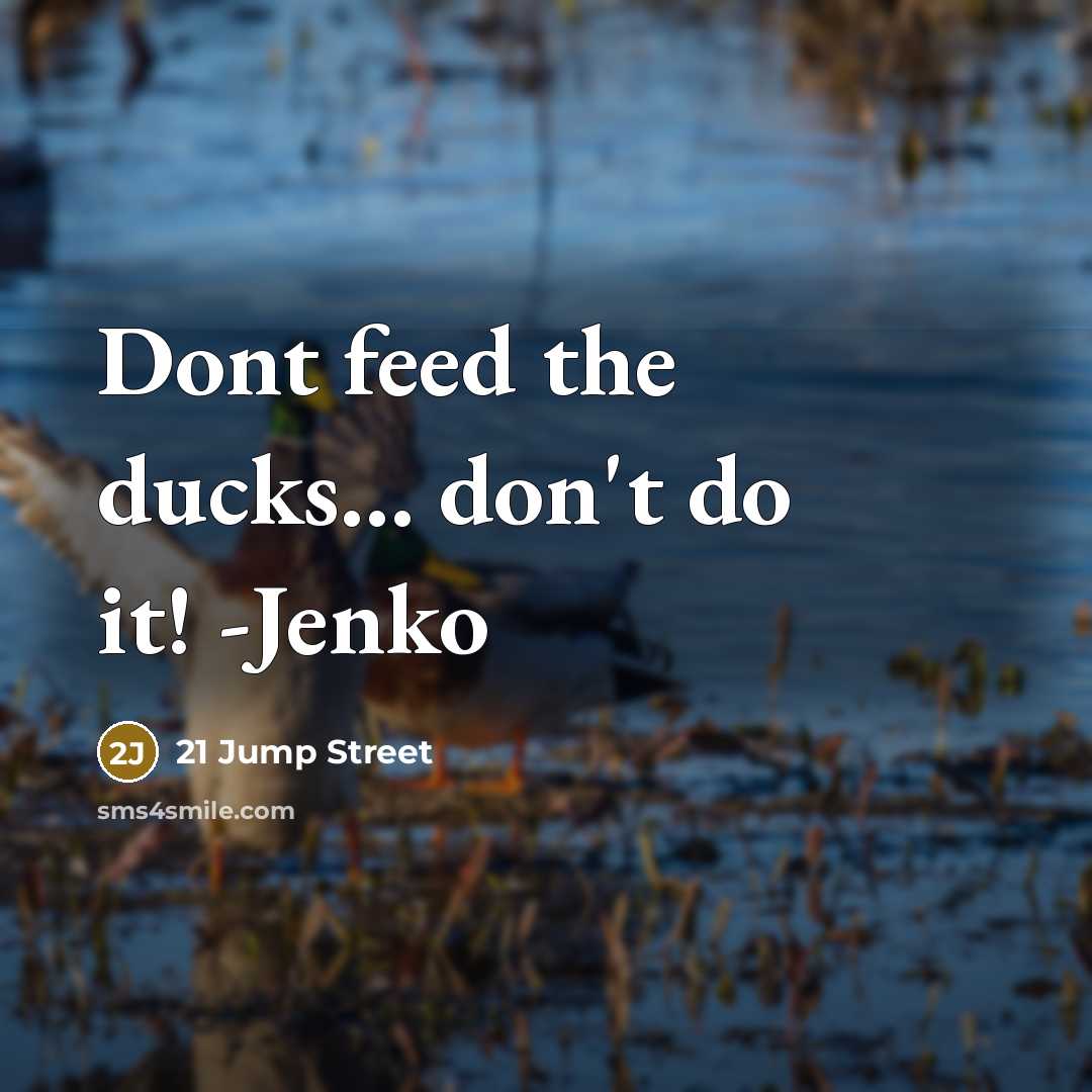 “Dont feed the ducks... don't do it! -Jenko…” quote by 21 Jump Street
