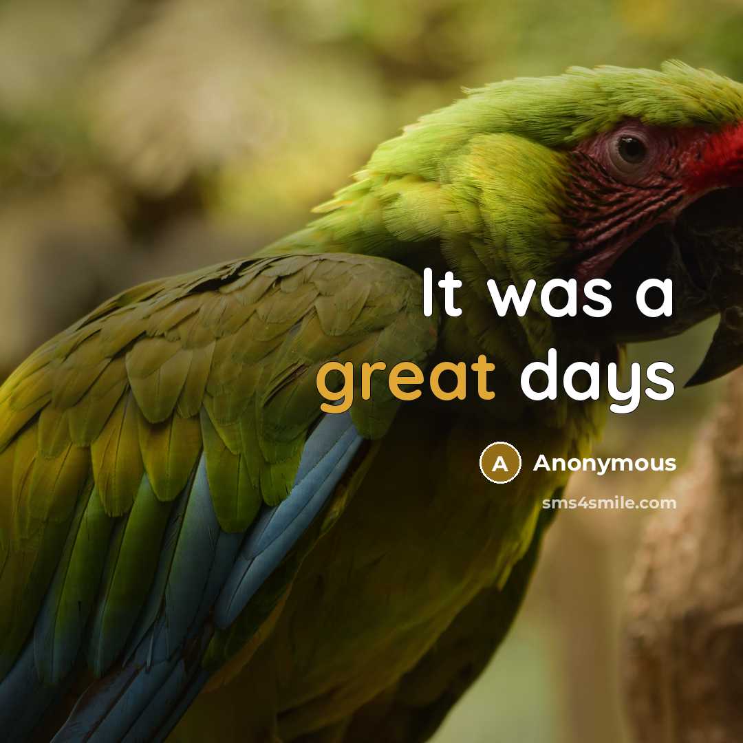 “It was a great days” quote by Anonymous