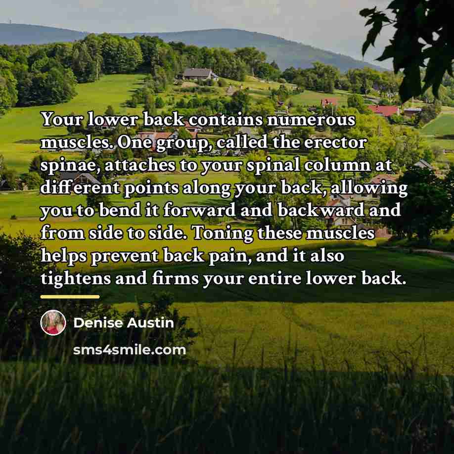 “Your lower back contains numerous muscles. One group, called the…” quote by Denise Austin