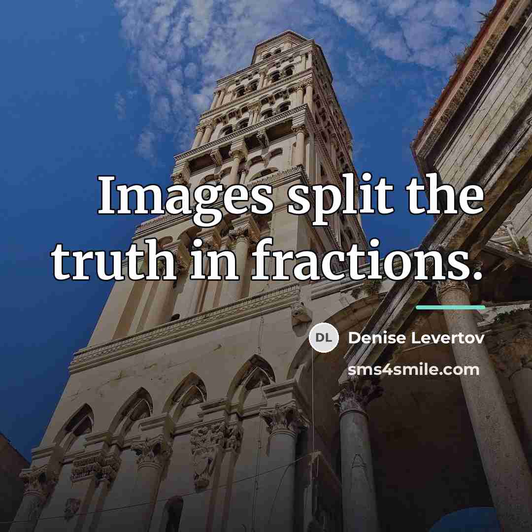 “Images split the truth in fractions.…” quote by Denise Levertov