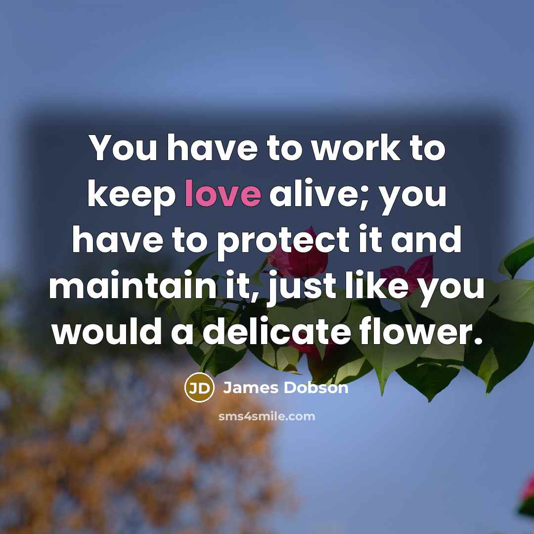 “You have to work to keep love alive; you have…” quote by James Dobson