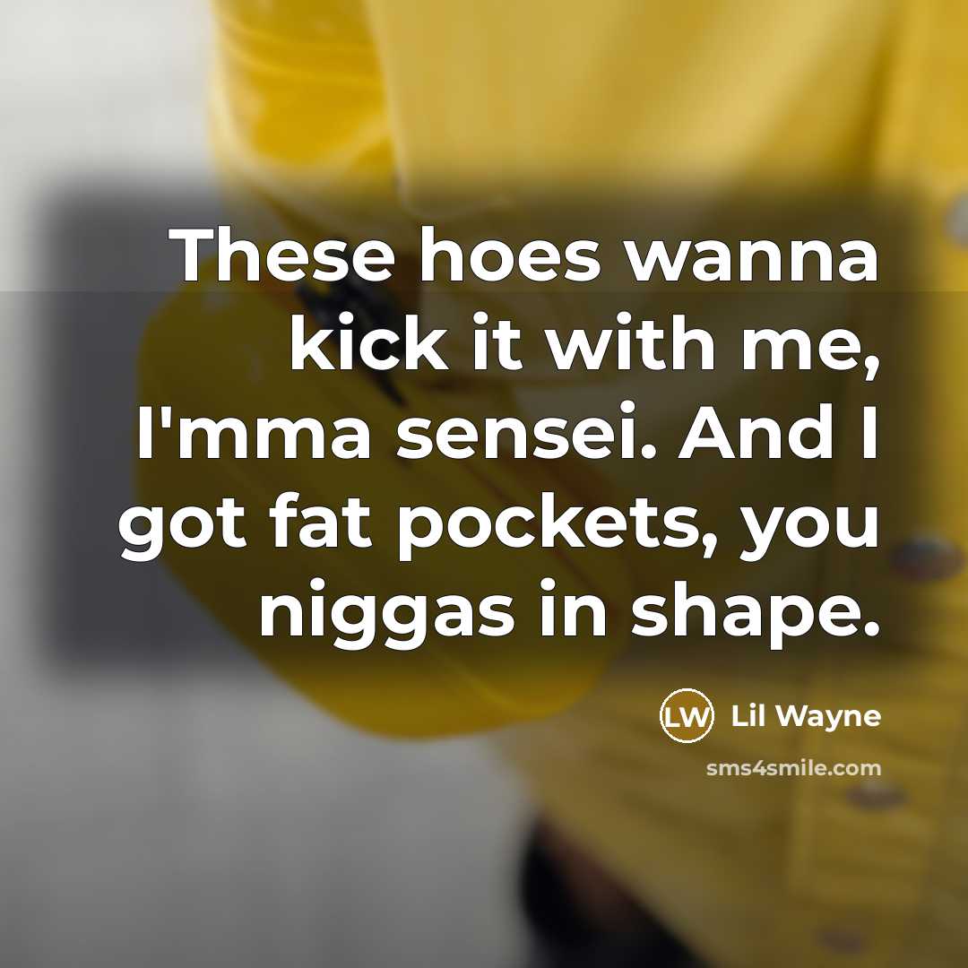 “These hoes wanna kick it with me, I'mma sensei. And…” quote by Lil Wayne