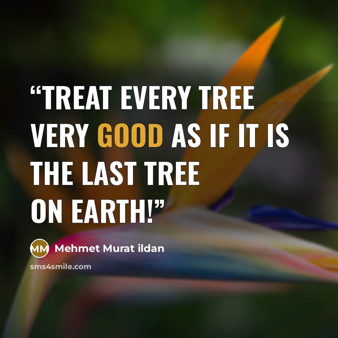“Treat every tree very good as if it is the last tree on earth!” quote by Mehmet Murat ildan