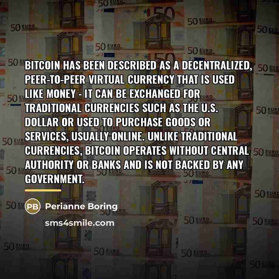 “Bitcoin has been described as a decentralized, peer-to-peer virtual currency…” quote by Perianne Boring