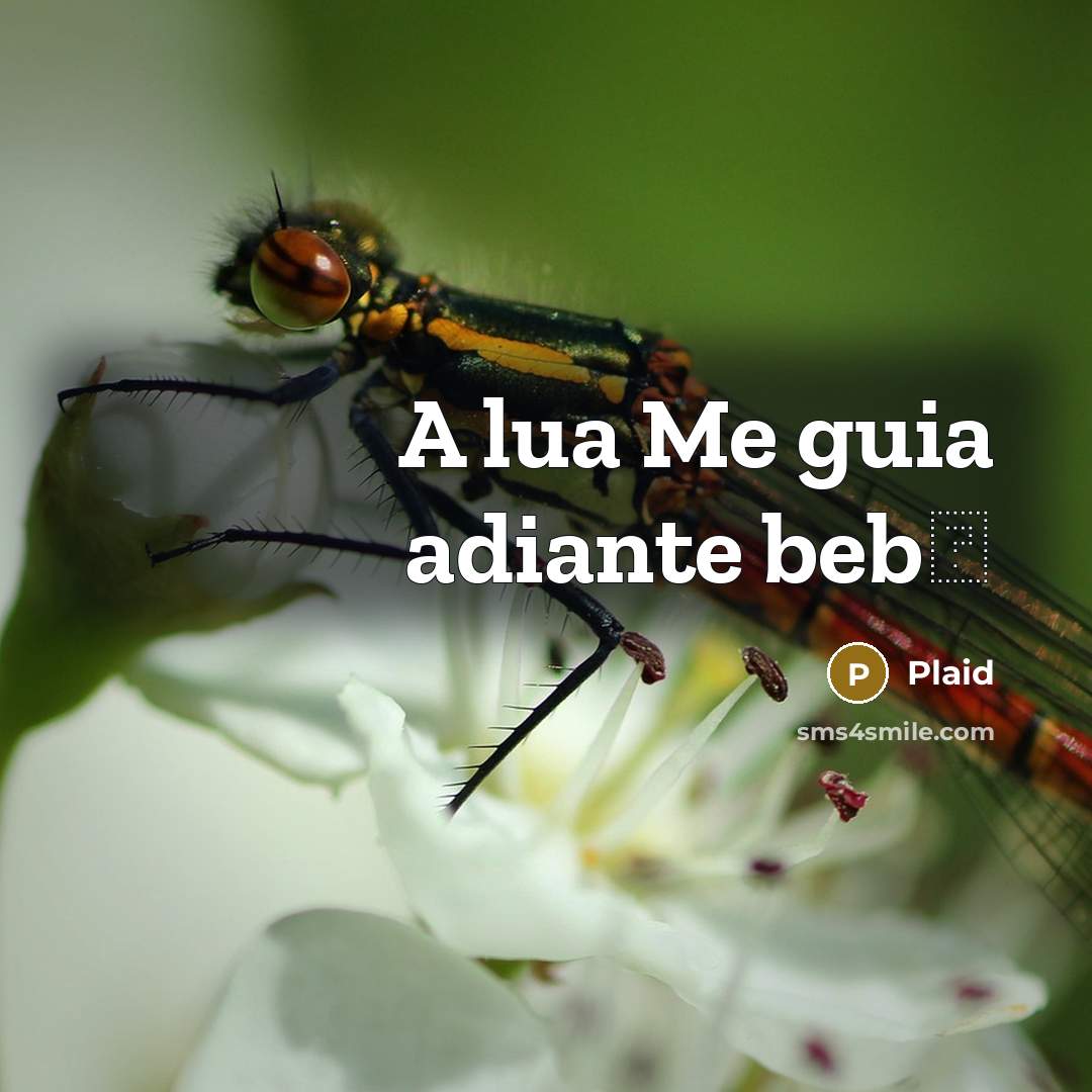 “A lua Me guia adiante beb�” quote by Plaid