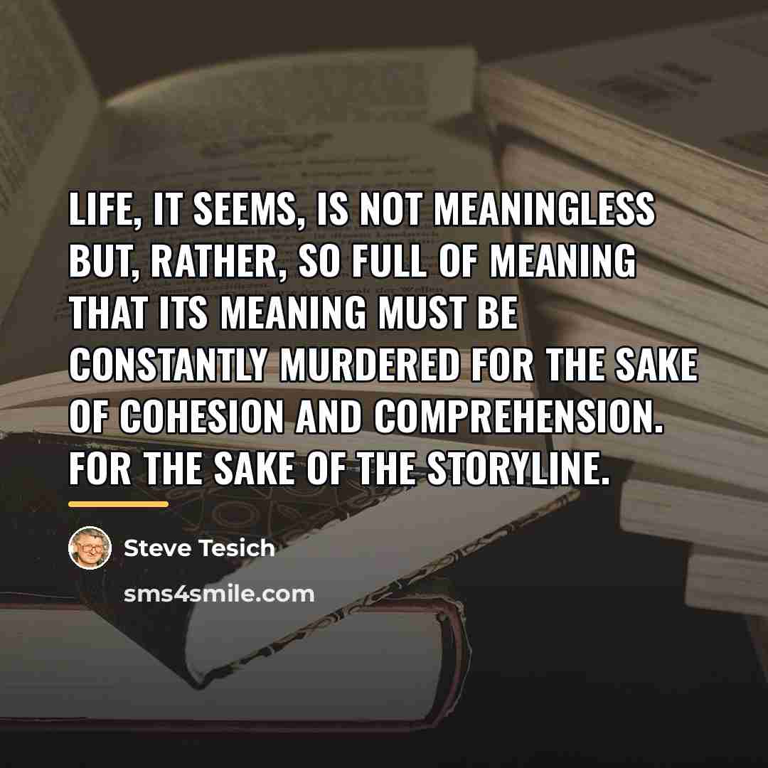 “Life, it seems, is not meaningless but, rather, so full…” quote by Steve Tesich