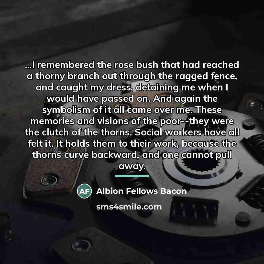 “...I remembered the rose bush that had reached a thorny…” quote by Albion Fellows Bacon