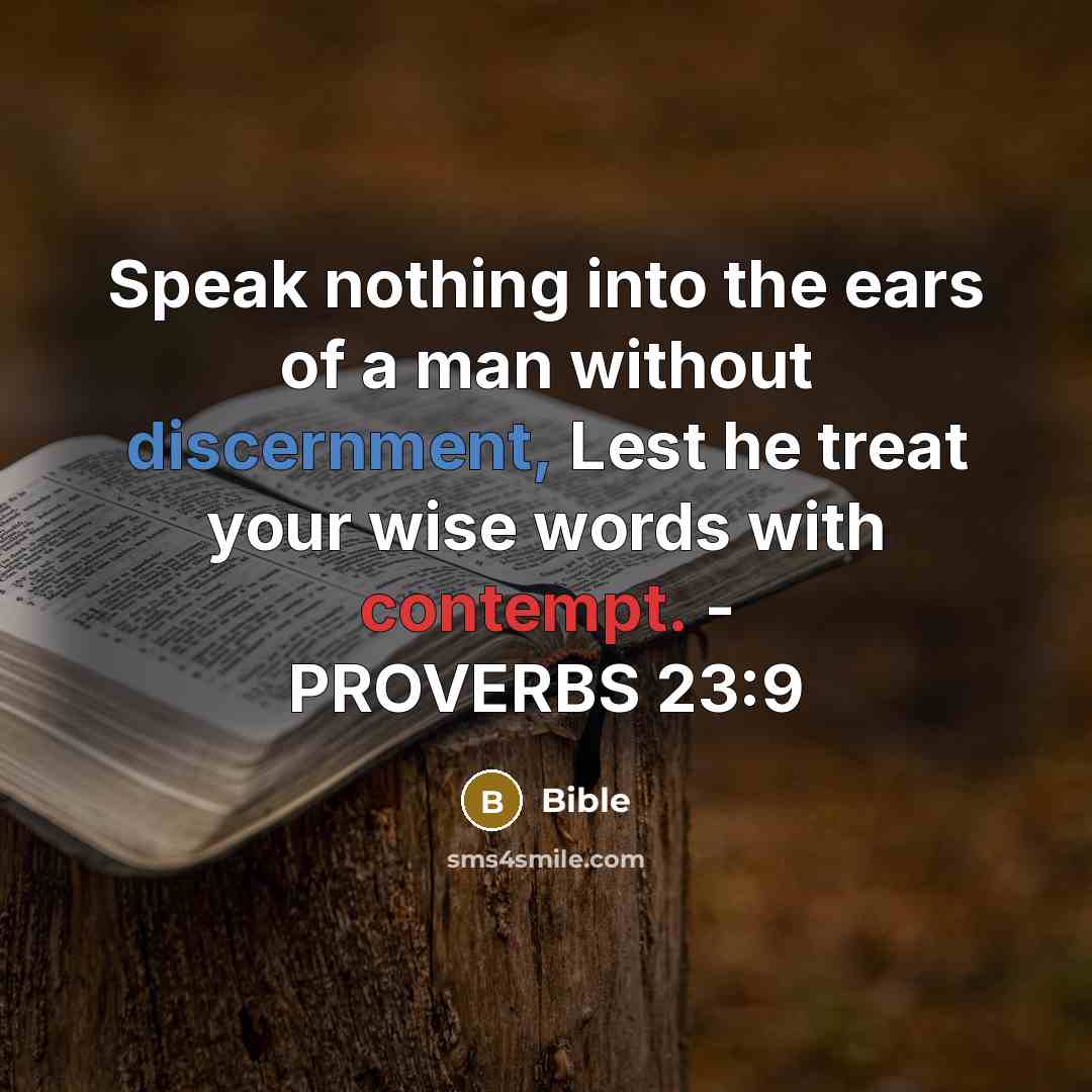 “Speak nothing into the ears of a man without discernment,…” quote by Bible