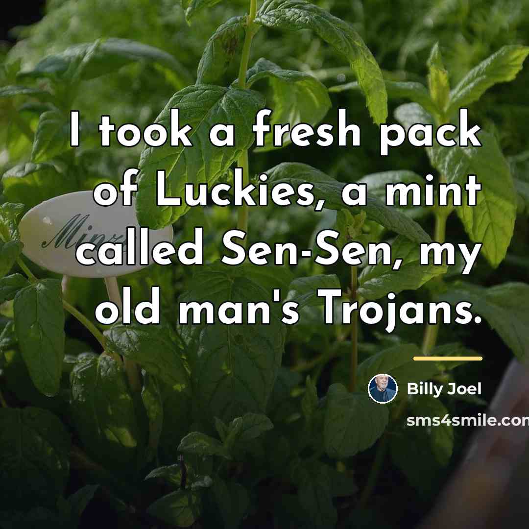 “I took a fresh pack of Luckies, a mint called…” quote by Billy Joel