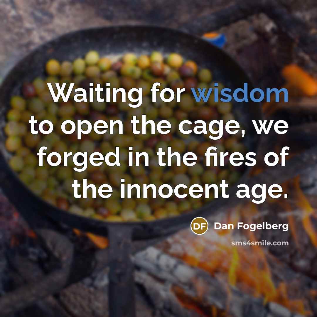 “Waiting for wisdom to open the cage, we forged in…” quote by Dan Fogelberg