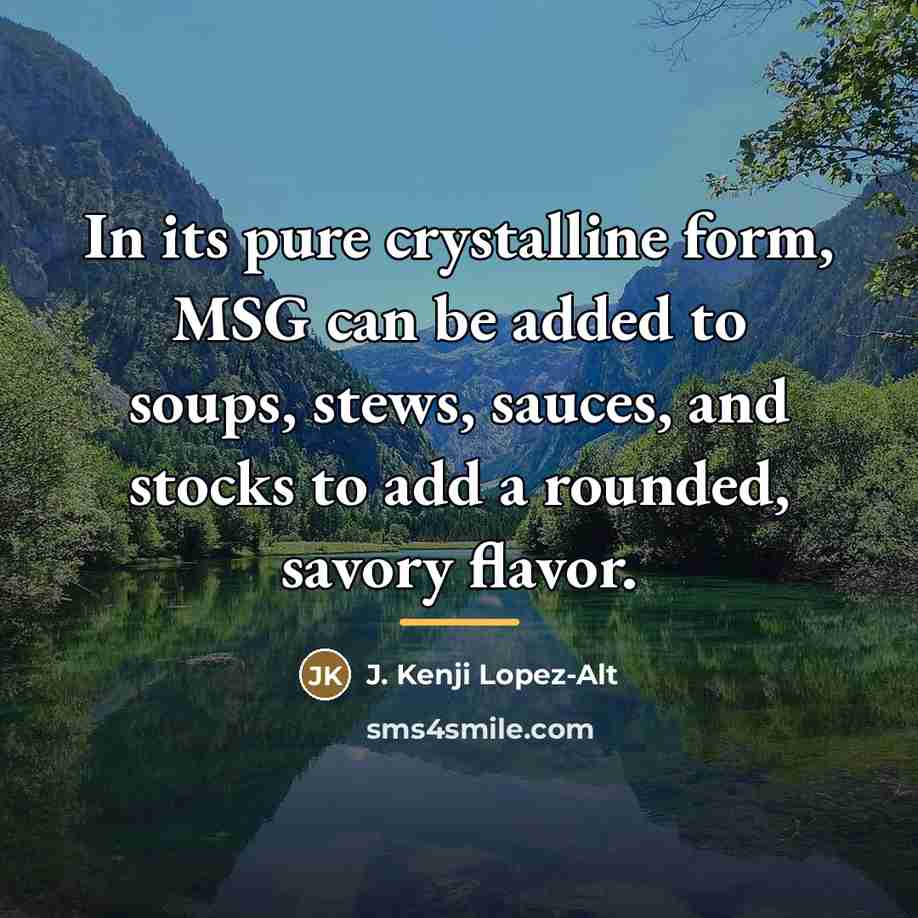 “In its pure crystalline form, MSG can be added to…” quote by J. Kenji Lopez-Alt