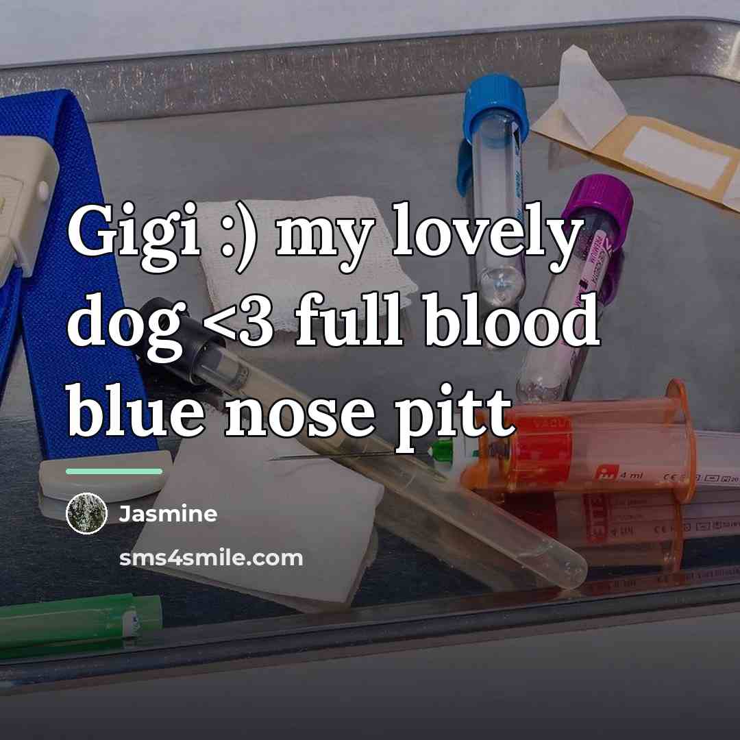 “Gigi :) my lovely dog…” quote by Jasmine