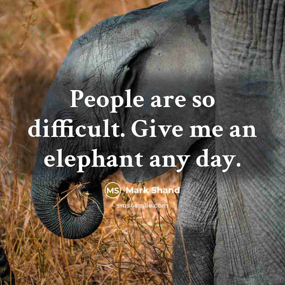 “People are so difficult. Give me an elephant any day.…” quote by Mark Shand