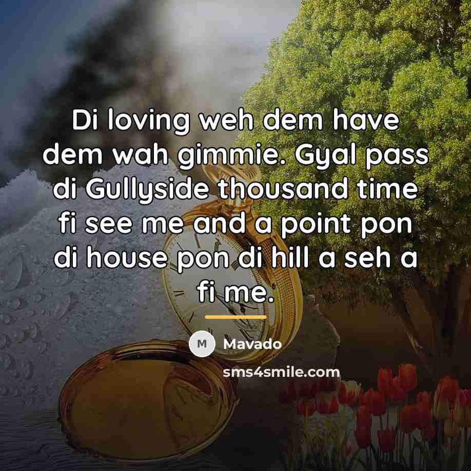 “Di loving weh dem have dem wah gimmie. Gyal pass…” quote by Mavado