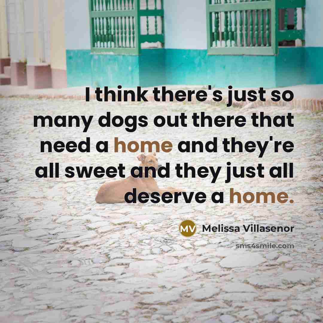 “I think there's just so many dogs out there that…” quote by Melissa Villasenor