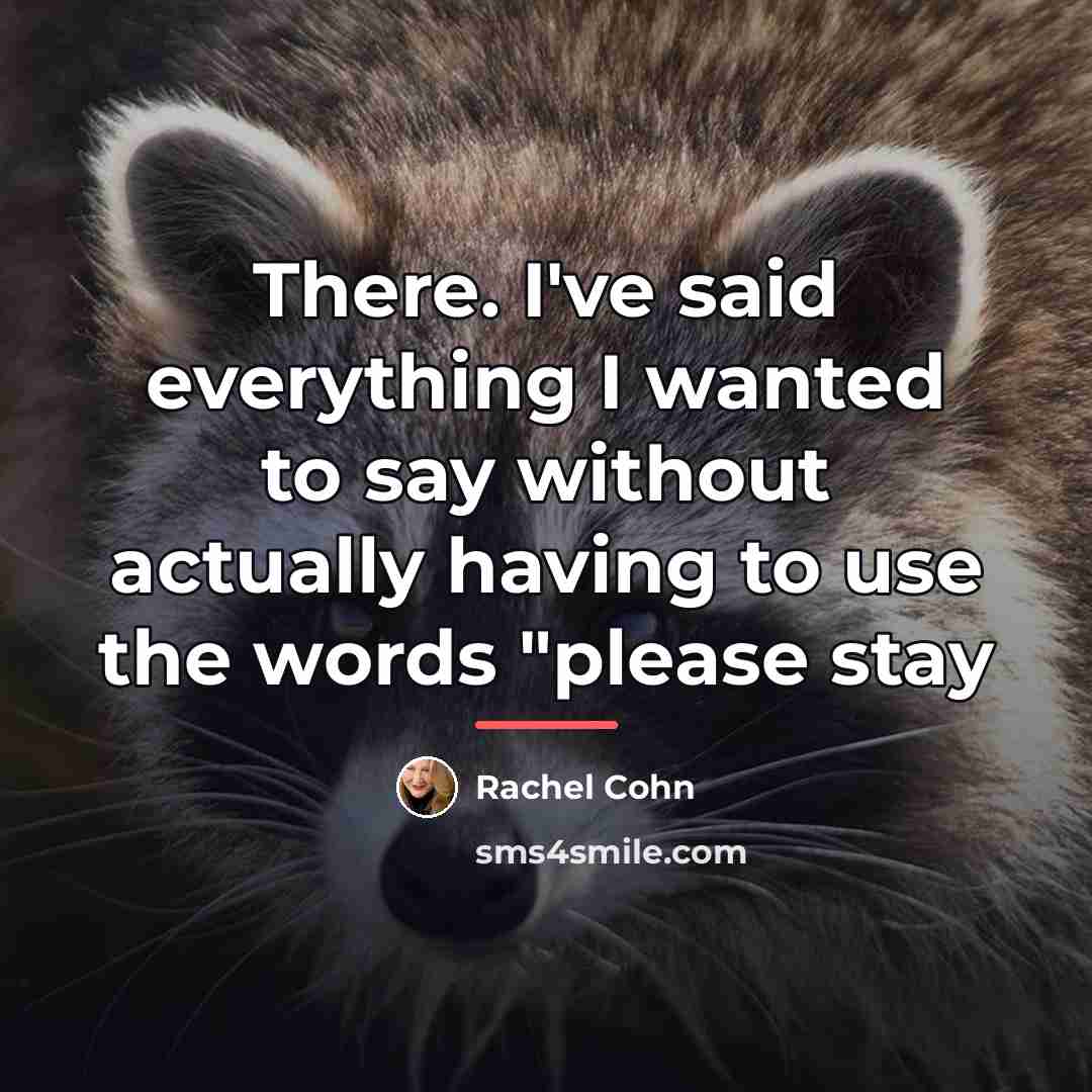 “There. I've said everything I wanted to say without actually…” quote by Rachel Cohn