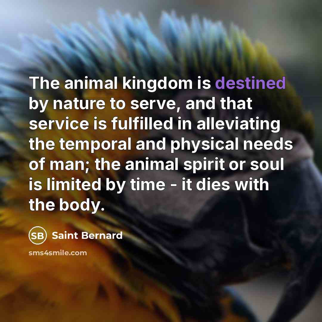 “The animal kingdom is destined by nature to serve, and…” quote by Saint Bernard