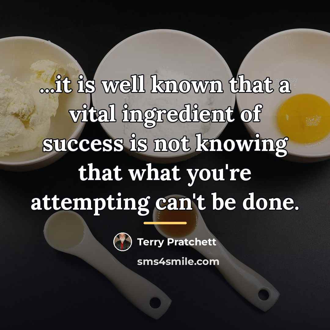 “...it is well known that a vital ingredient of success…” quote by Terry Pratchett