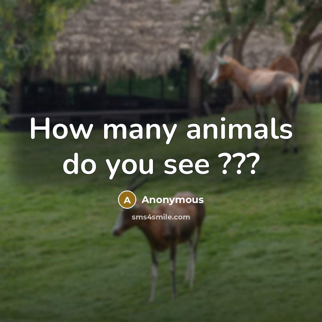 “How many animals do you see ???” quote by Anonymous