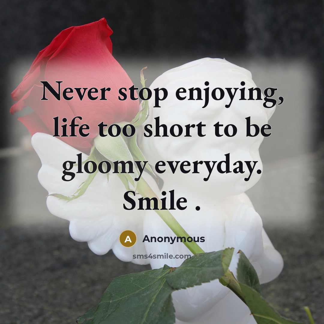“Never stop enjoying, life too short to be gloomy everyday. Smile .” quote by Anonymous