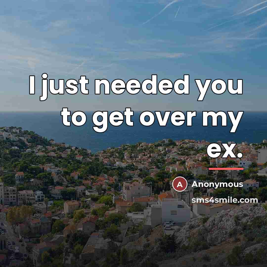 “I just needed you to get over my ex.…” quote by Anonymous