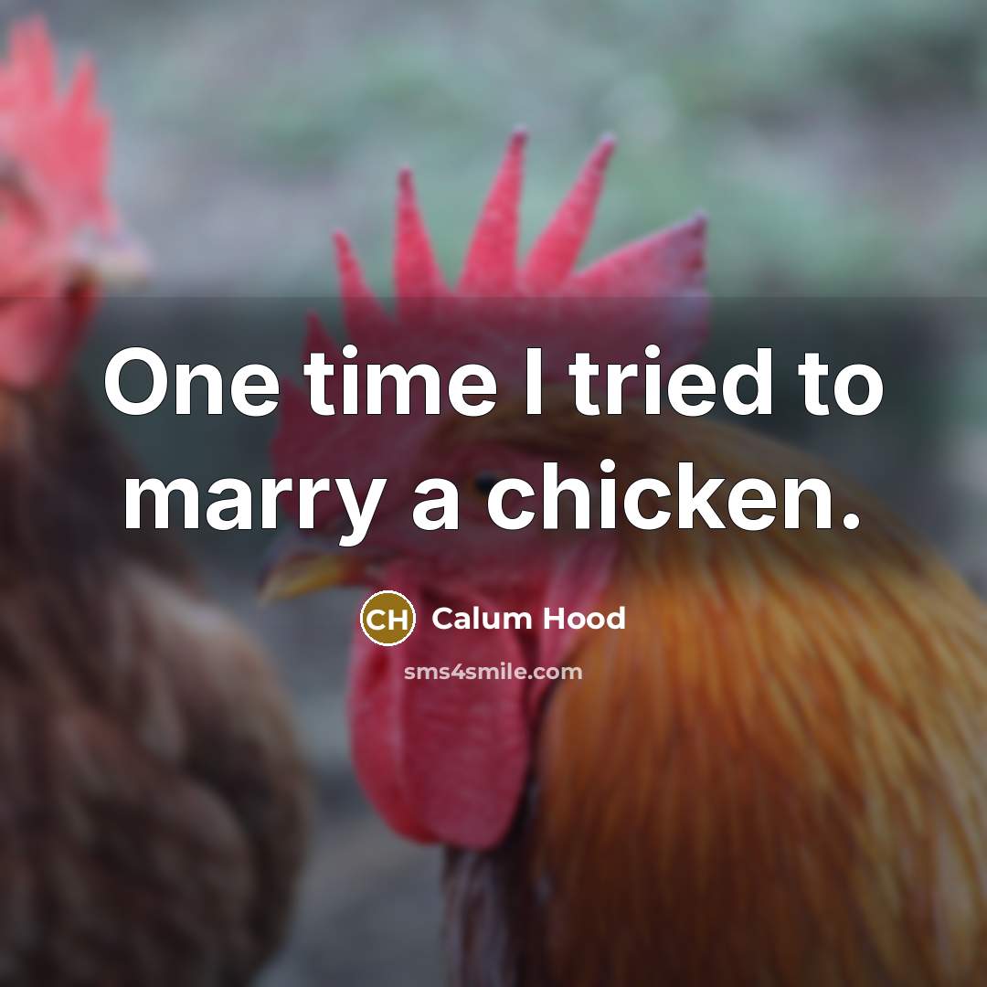 “One time I tried to marry a chicken.” quote by Calum Hood