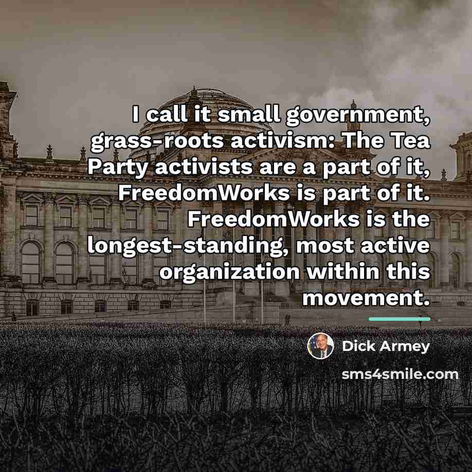 “I call it small government, grass-roots activism: The Tea Party…” quote by Dick Armey