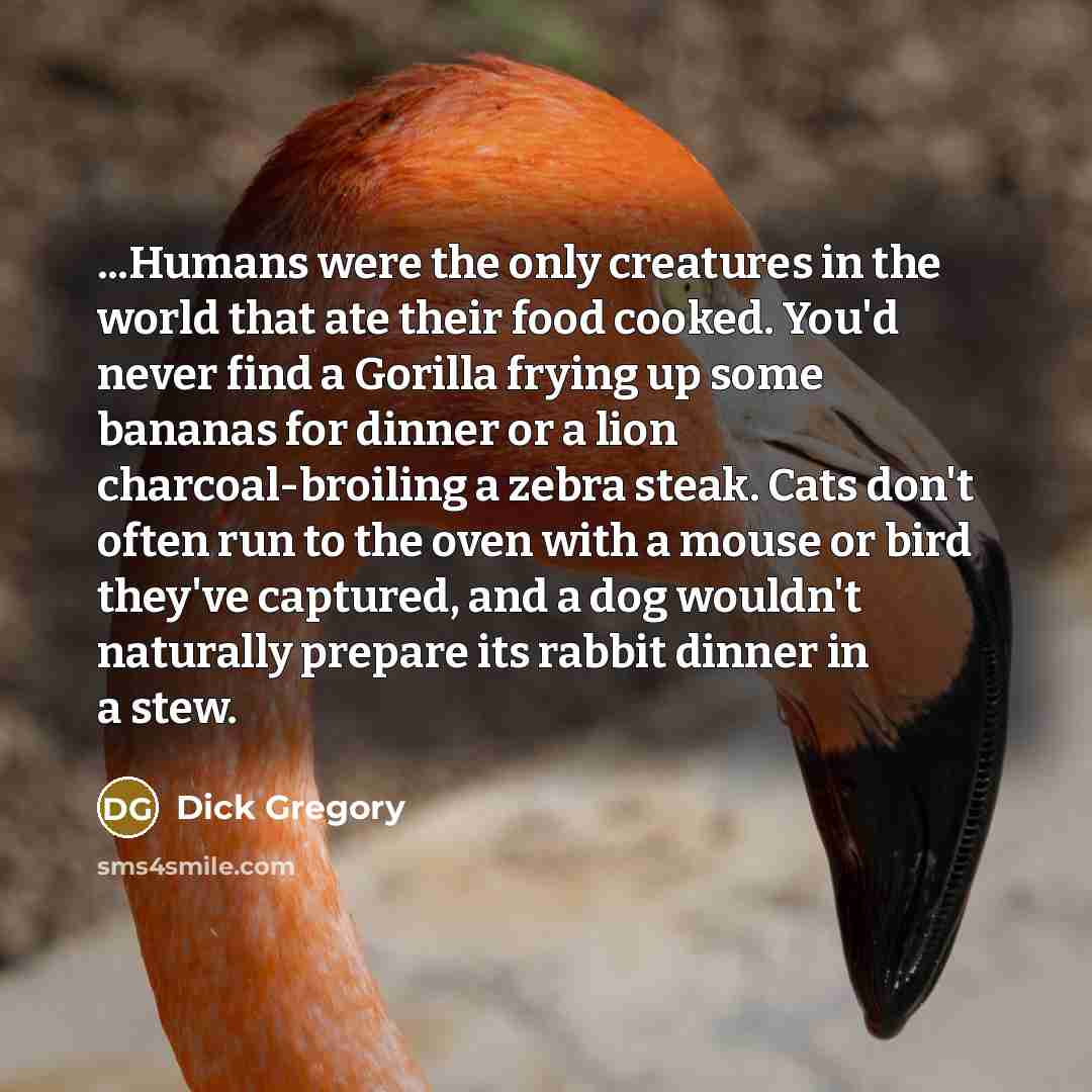 “...Humans were the only creatures in the world that ate…” quote by Dick Gregory