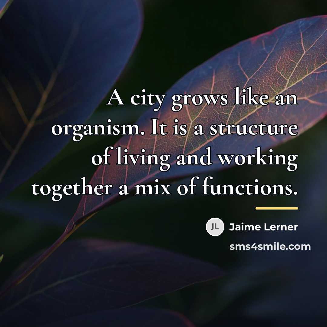 “A city grows like an organism. It is a structure…” quote by Jaime Lerner