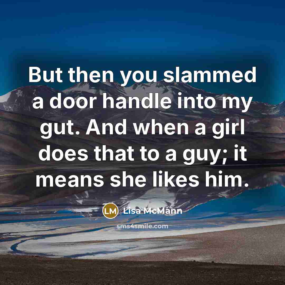 “But then you slammed a door handle into my gut.…” quote by Lisa McMann