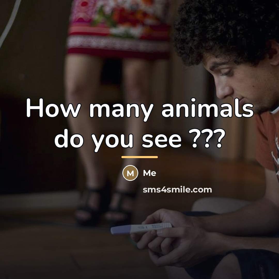 “How many animals do you see ???…” quote by Me