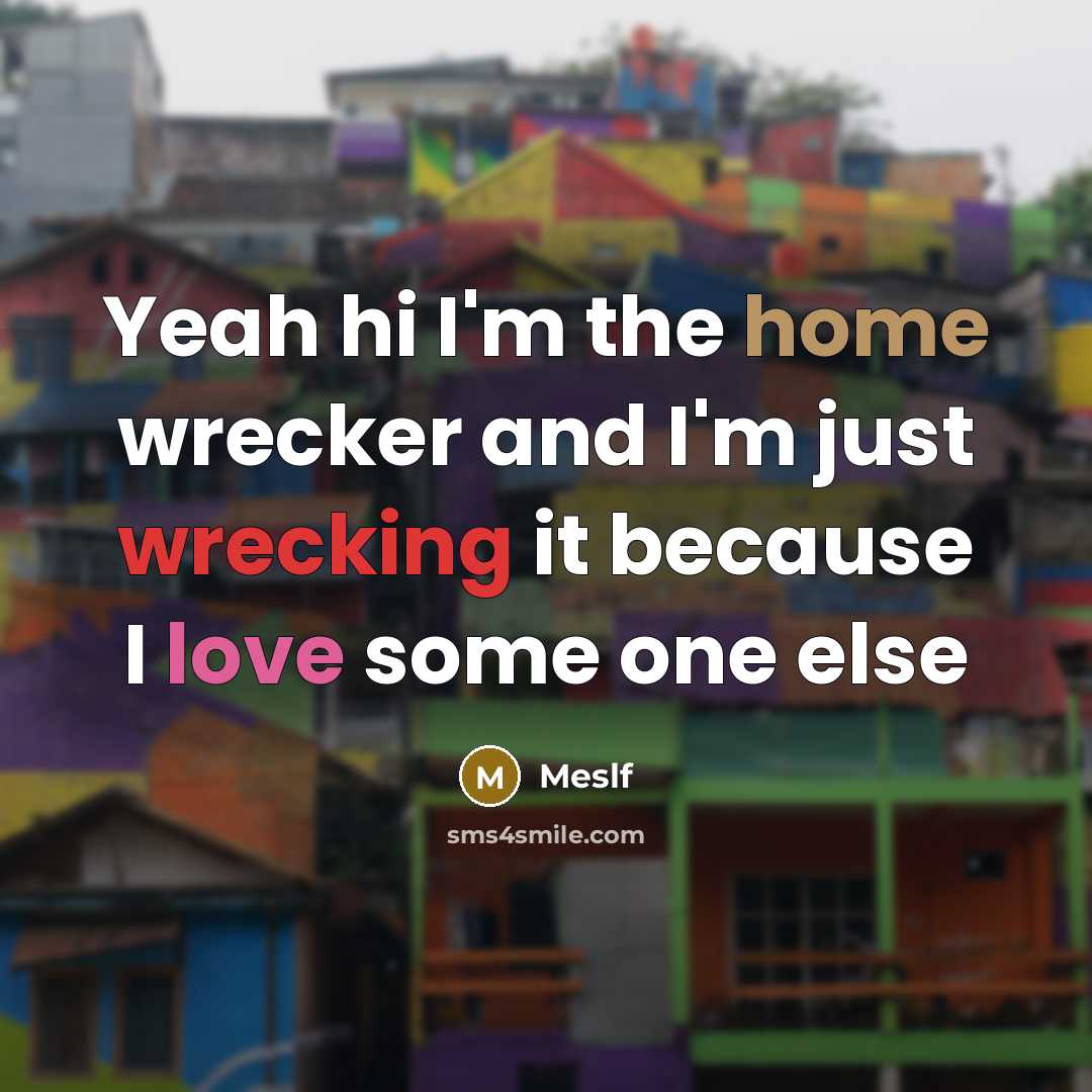 “Yeah hi I'm the home wrecker and I'm just wrecking…” quote by Meslf