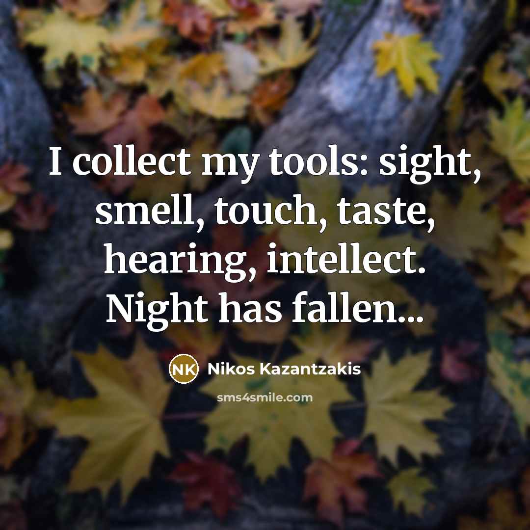 “I collect my tools: sight, smell, touch, taste, hearing, intellect.…” quote by Nikos Kazantzakis