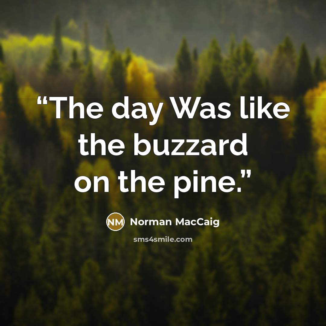 “The day Was like the buzzard on the pine.” quote by Norman MacCaig