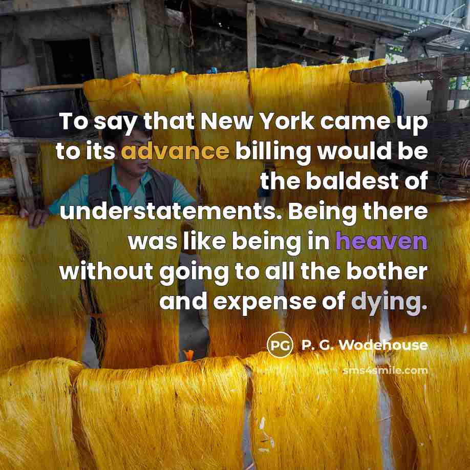“To say that New York came up to its advance…” quote by P. G. Wodehouse