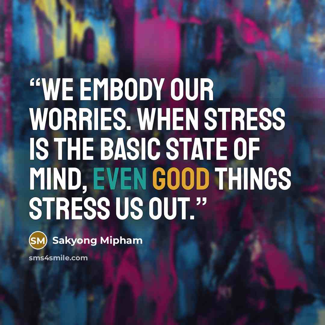 “We embody our worries. When stress is the basic state of mind, even good things stress us out.” quote by Sakyong Mipham