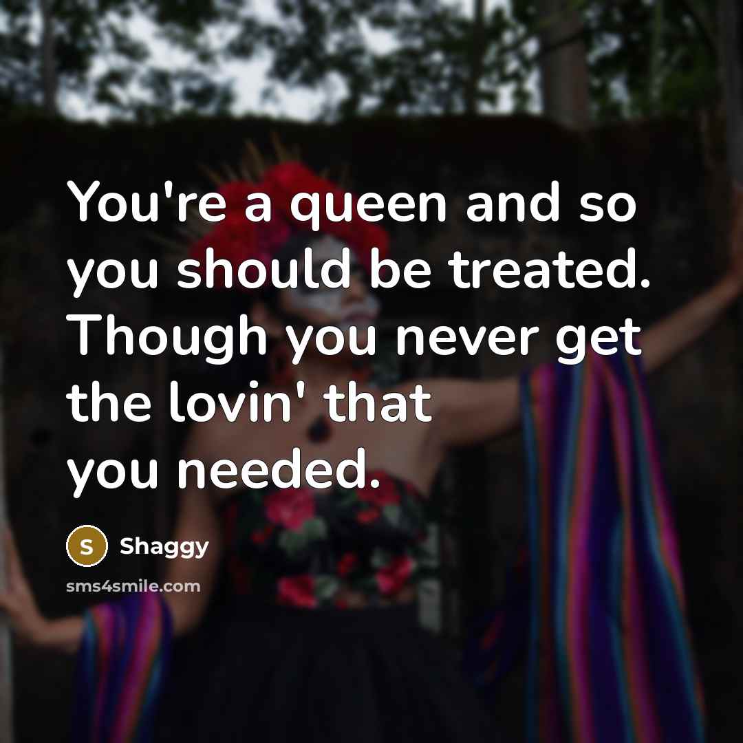 “You're a queen and so you should be treated. Though you never get the lovin' that you needed.” quote by Shaggy
