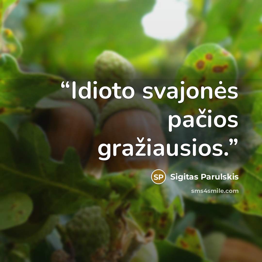 “Idioto svajonės pačios gražiausios.” quote by Sigitas Parulskis