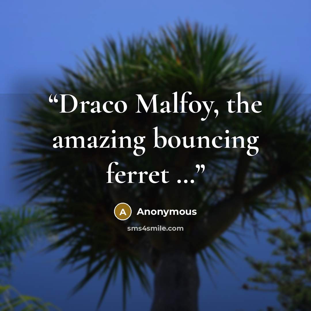 “Draco Malfoy, the amazing bouncing ferret …” quote by Anonymous
