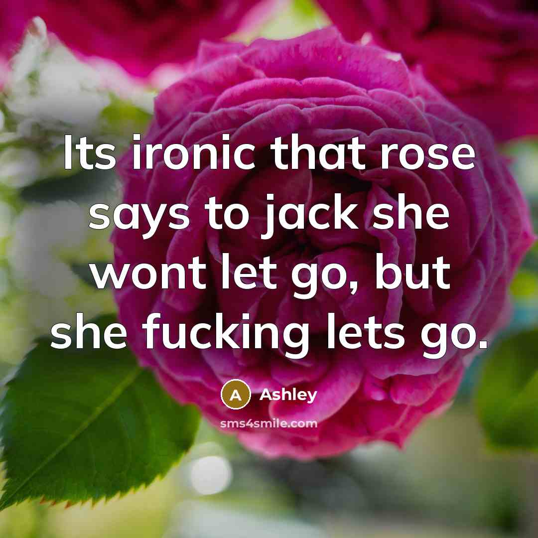 “Its ironic that rose says to jack she wont let…” quote by Ashley
