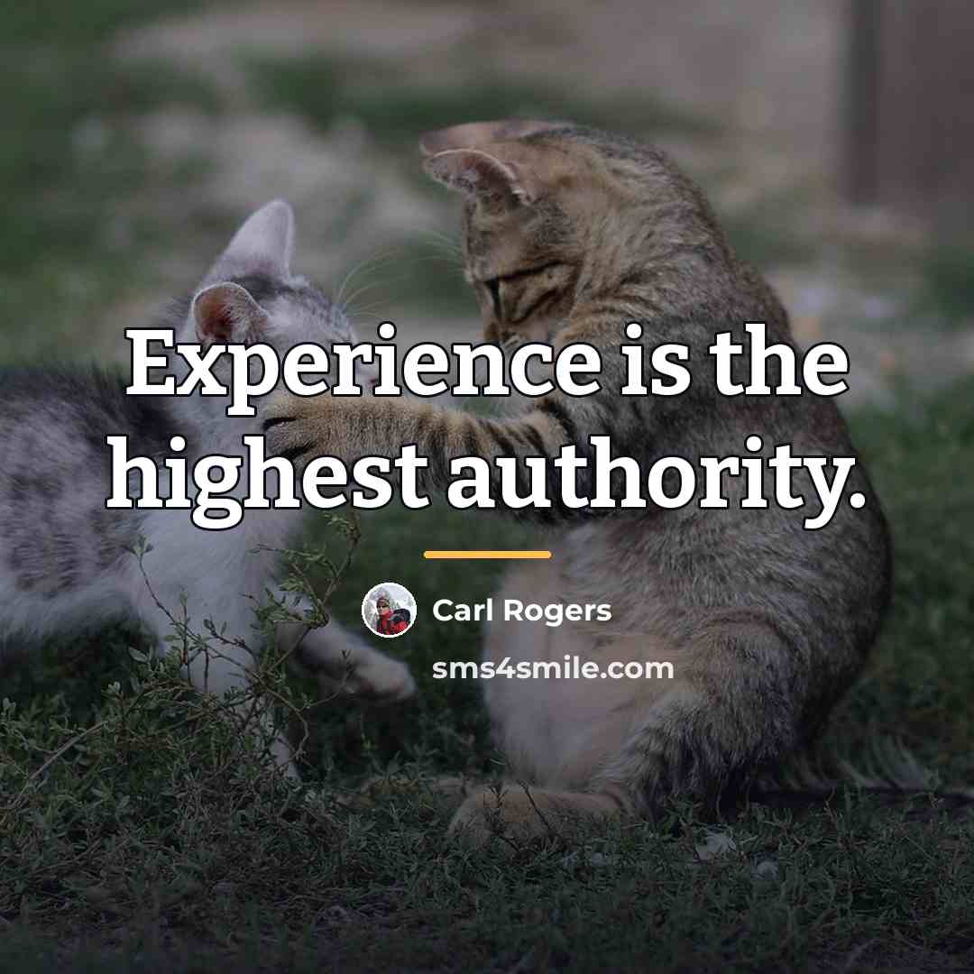 “Experience is the highest authority.…” quote by Carl Rogers