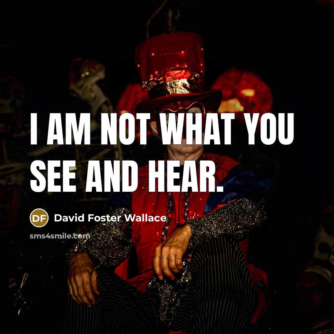 “I am not what you see and hear.…” quote by David Foster Wallace