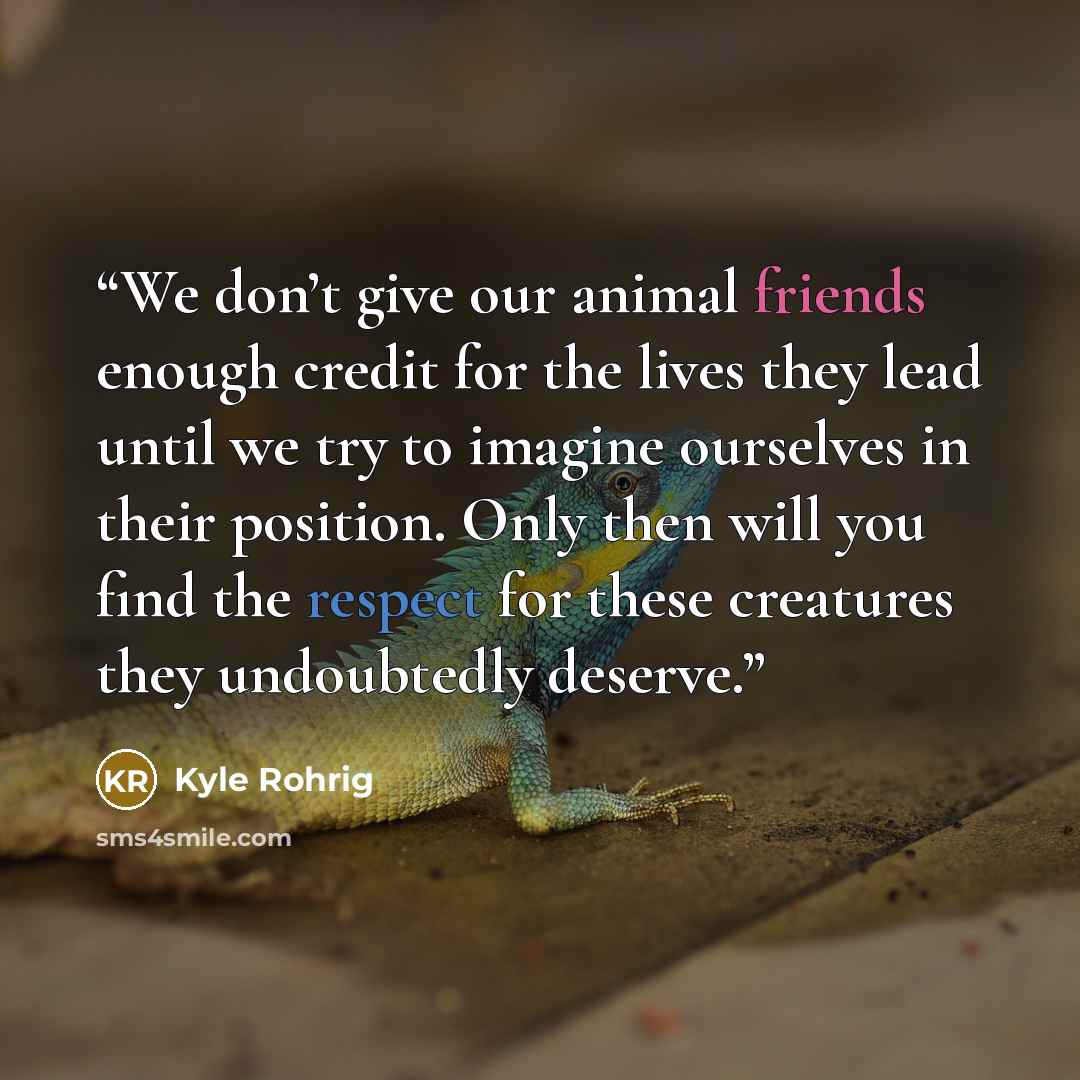“We don’t give our animal friends enough credit for the lives they lead until we try to imagine ourselves in their position. Only then will you find the respect for these creatures they undoubtedly deserve.” quote by Kyle Rohrig